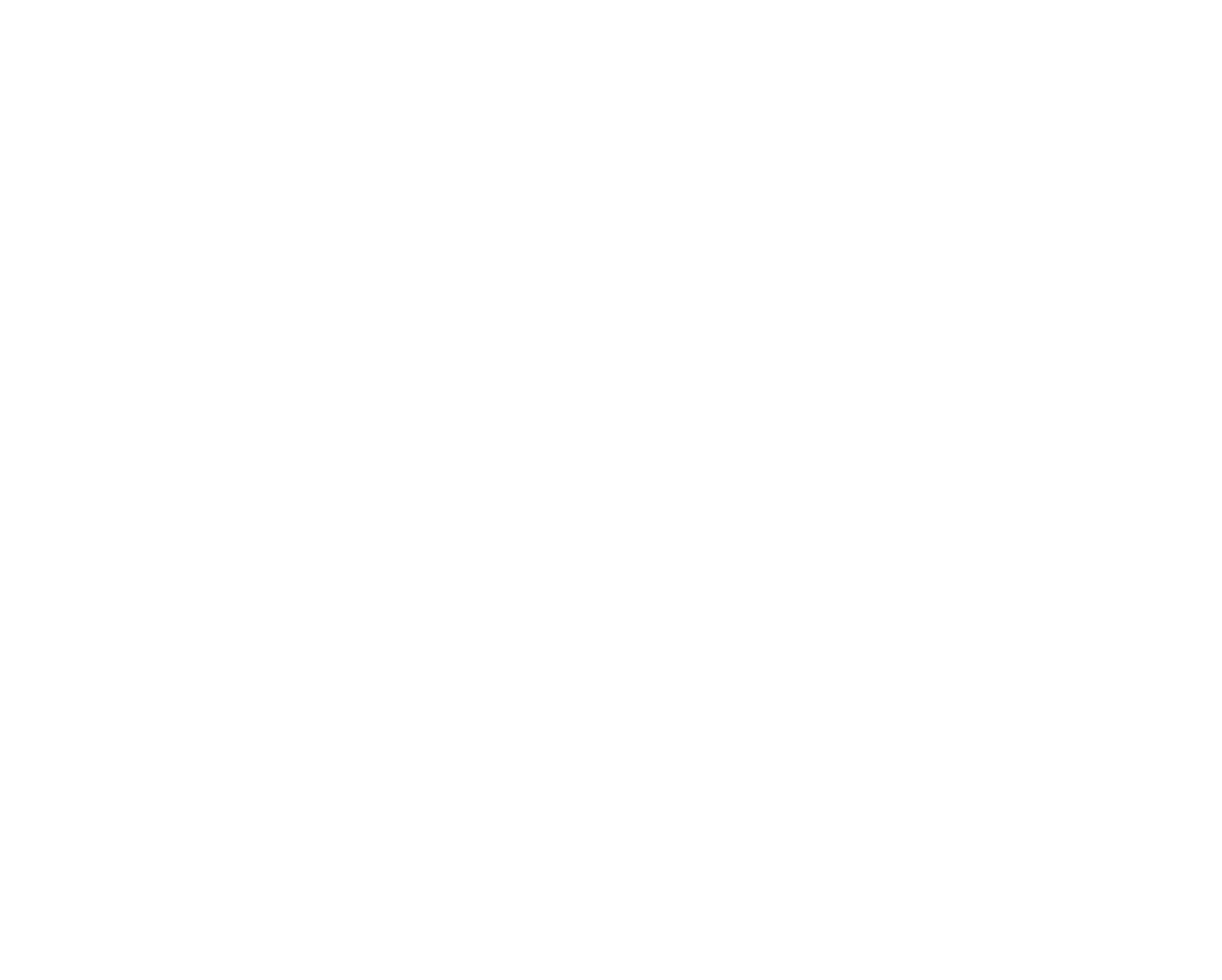 Logo Village Interactive Studio